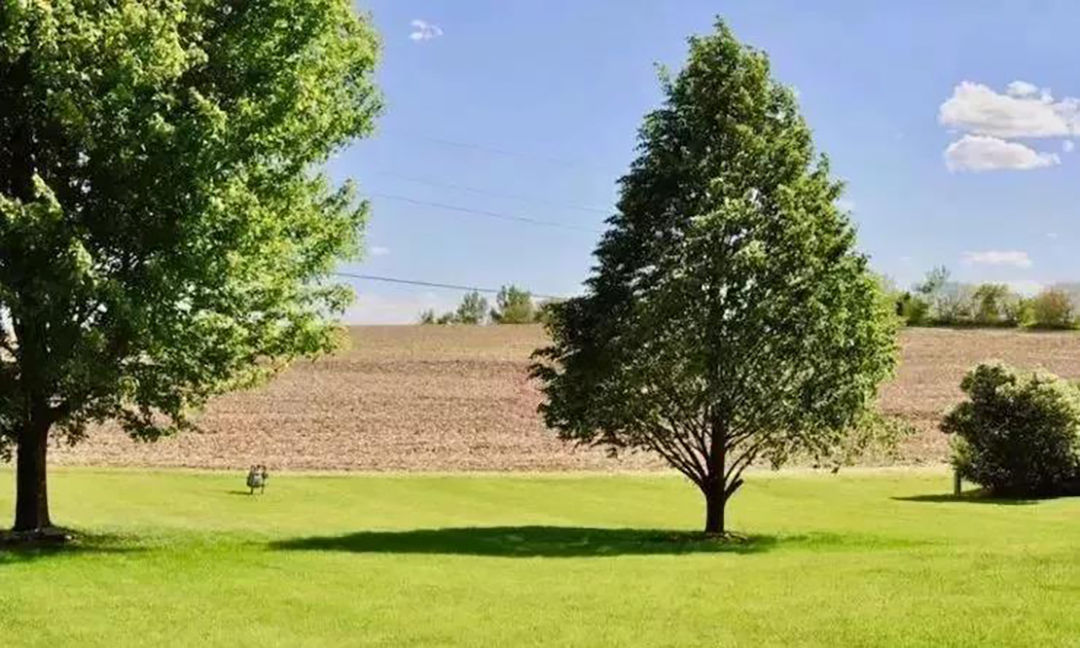 植樹節|守護綠色家園的秘密武器！