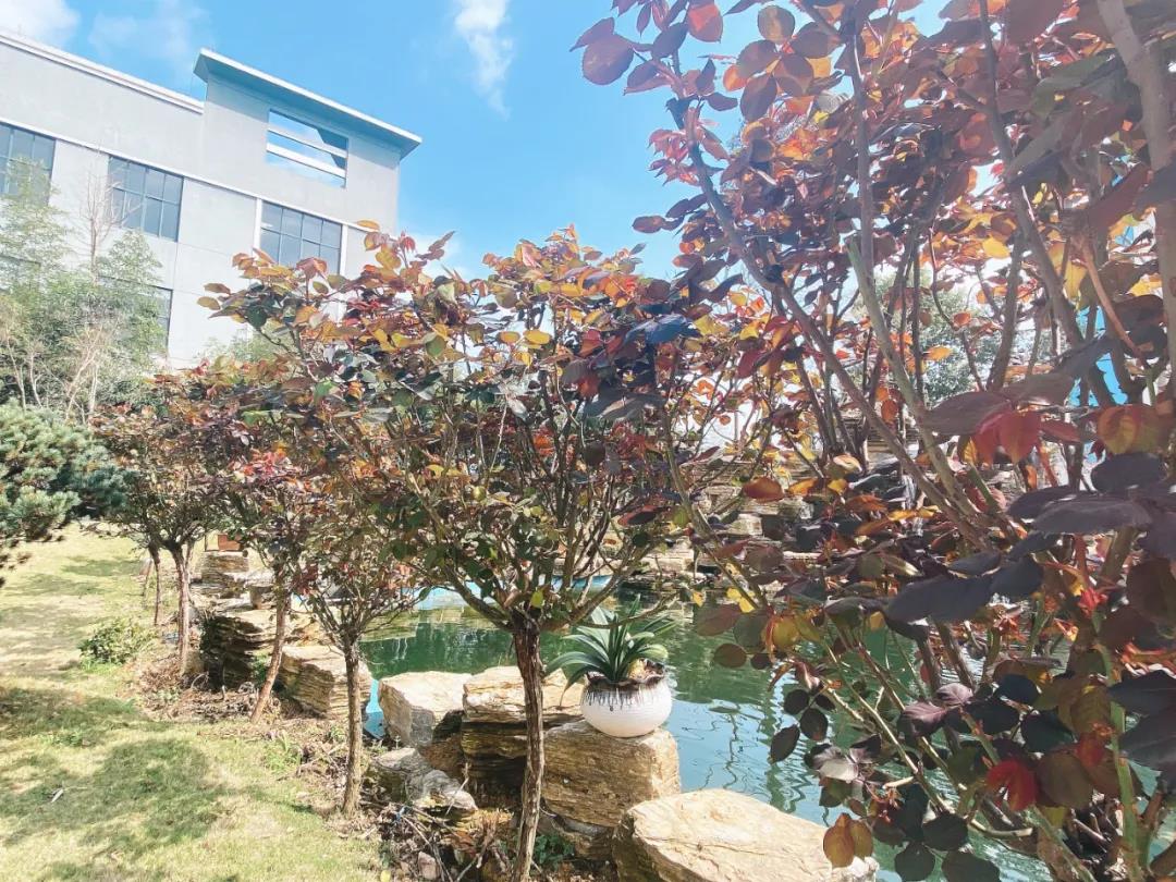 風(fēng)景這邊獨(dú)好!東大環(huán)境美景一覽,請(qǐng)查收